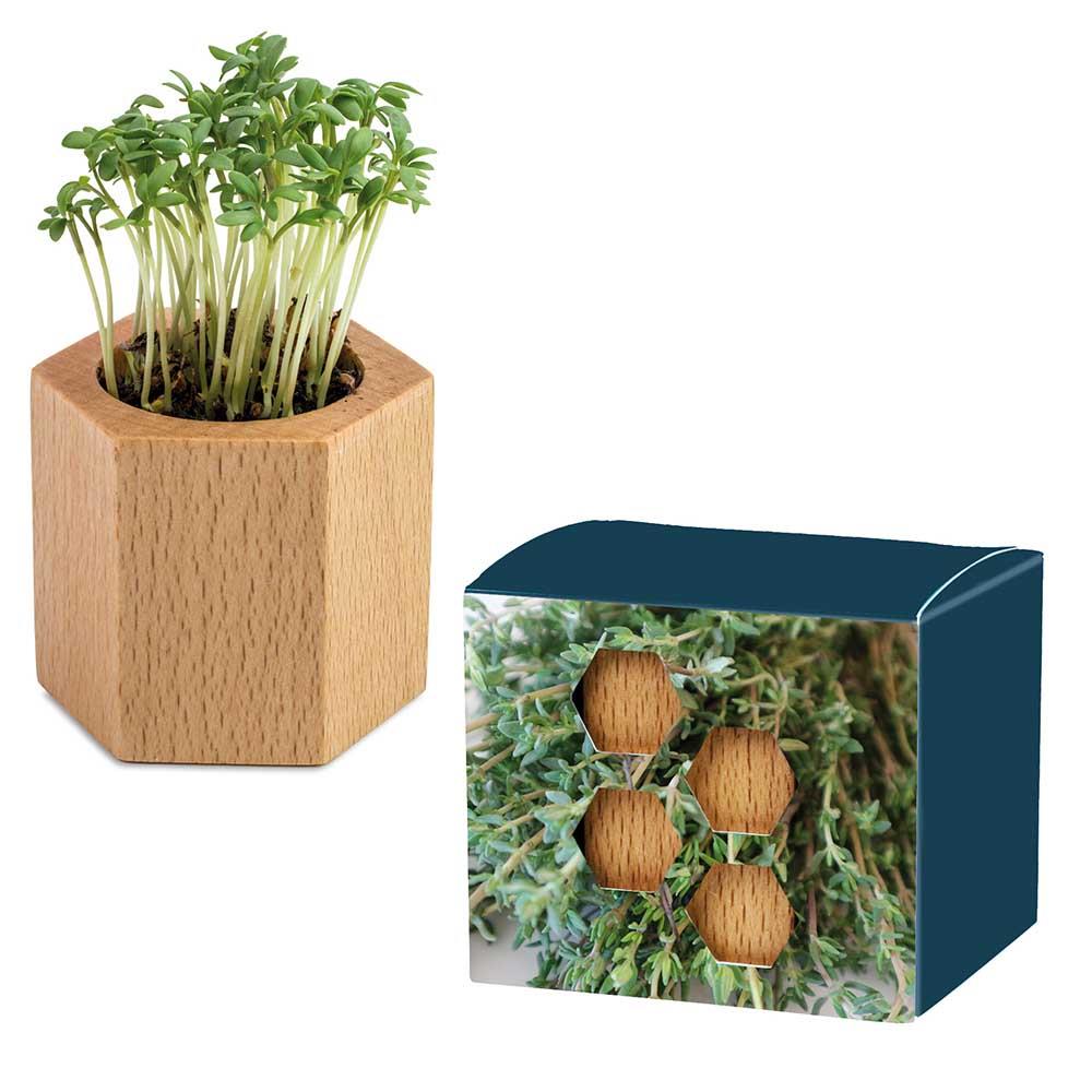 Pflanz-Holz Hexagon mit Samen - Ostern - Thymian