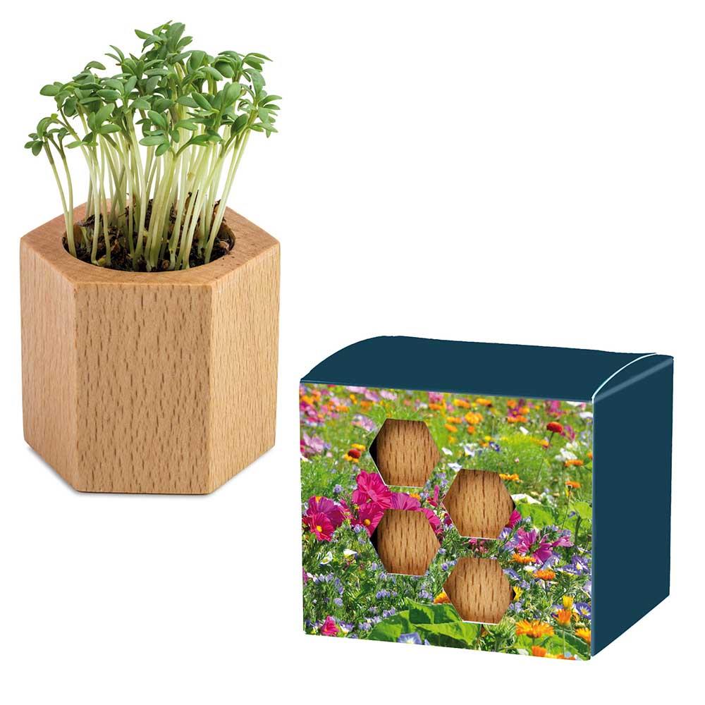 Pflanz-Holz Hexagon mit Samen - Ostern -
