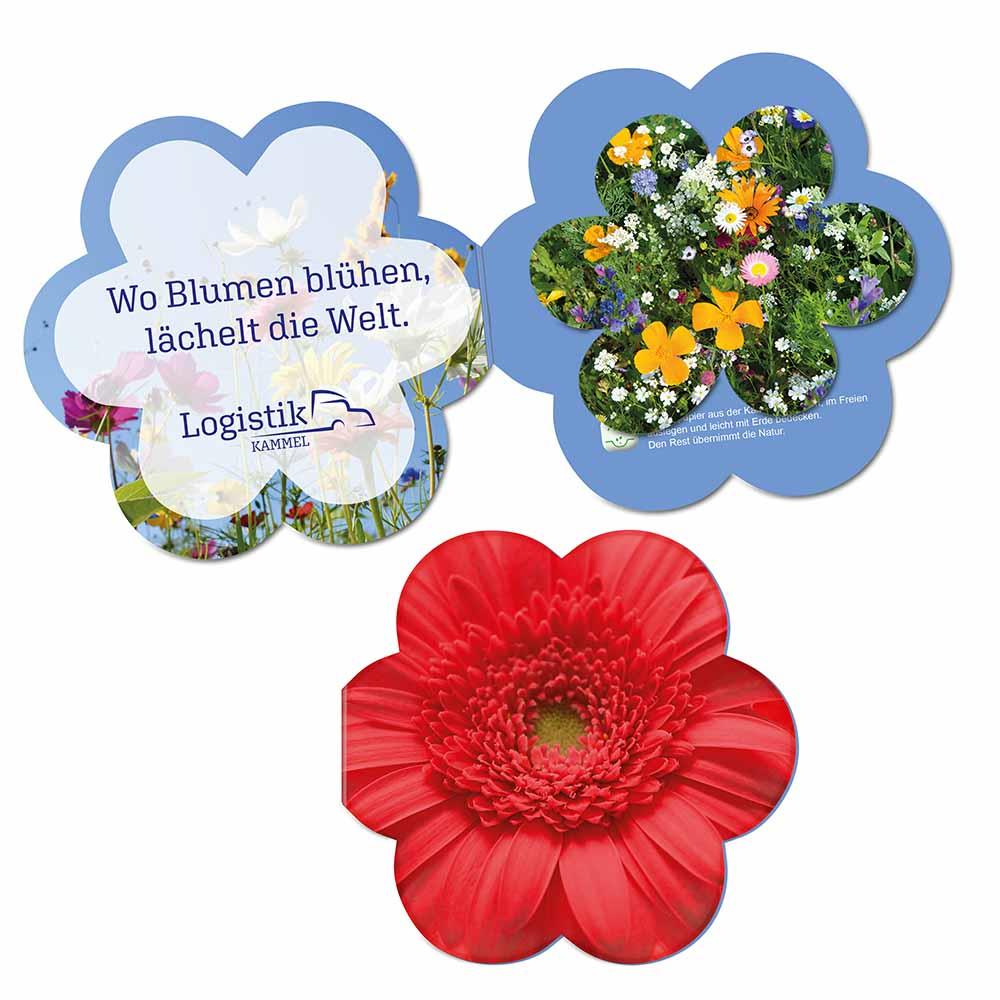 Samenpapier in Klappkärtchen Blume - Blümchen