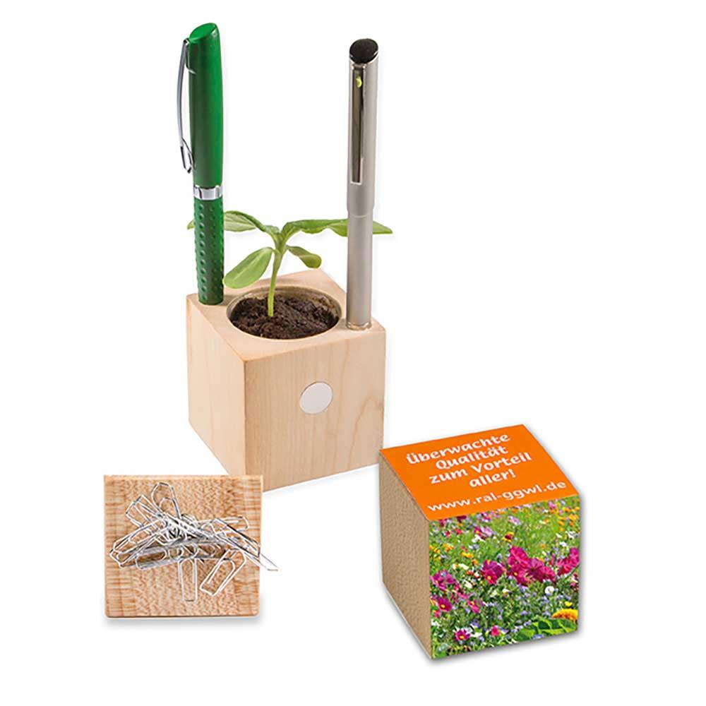 Pflanz-Holz B�ro mit Samen - Sommerblumenmischung