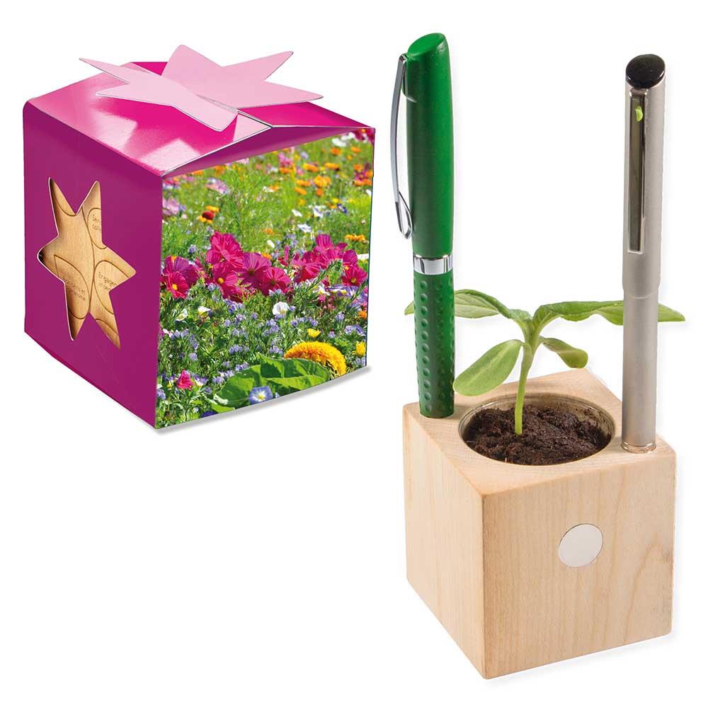 Pflanz-Holz B�ro Star-Box mit Samen -