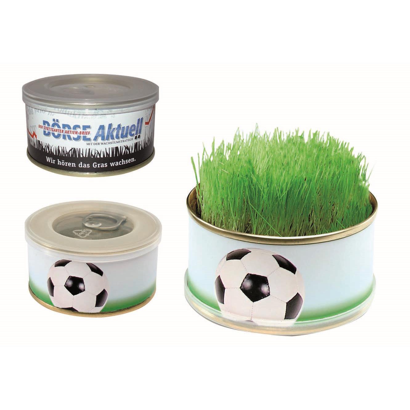Zimmer-Arena
