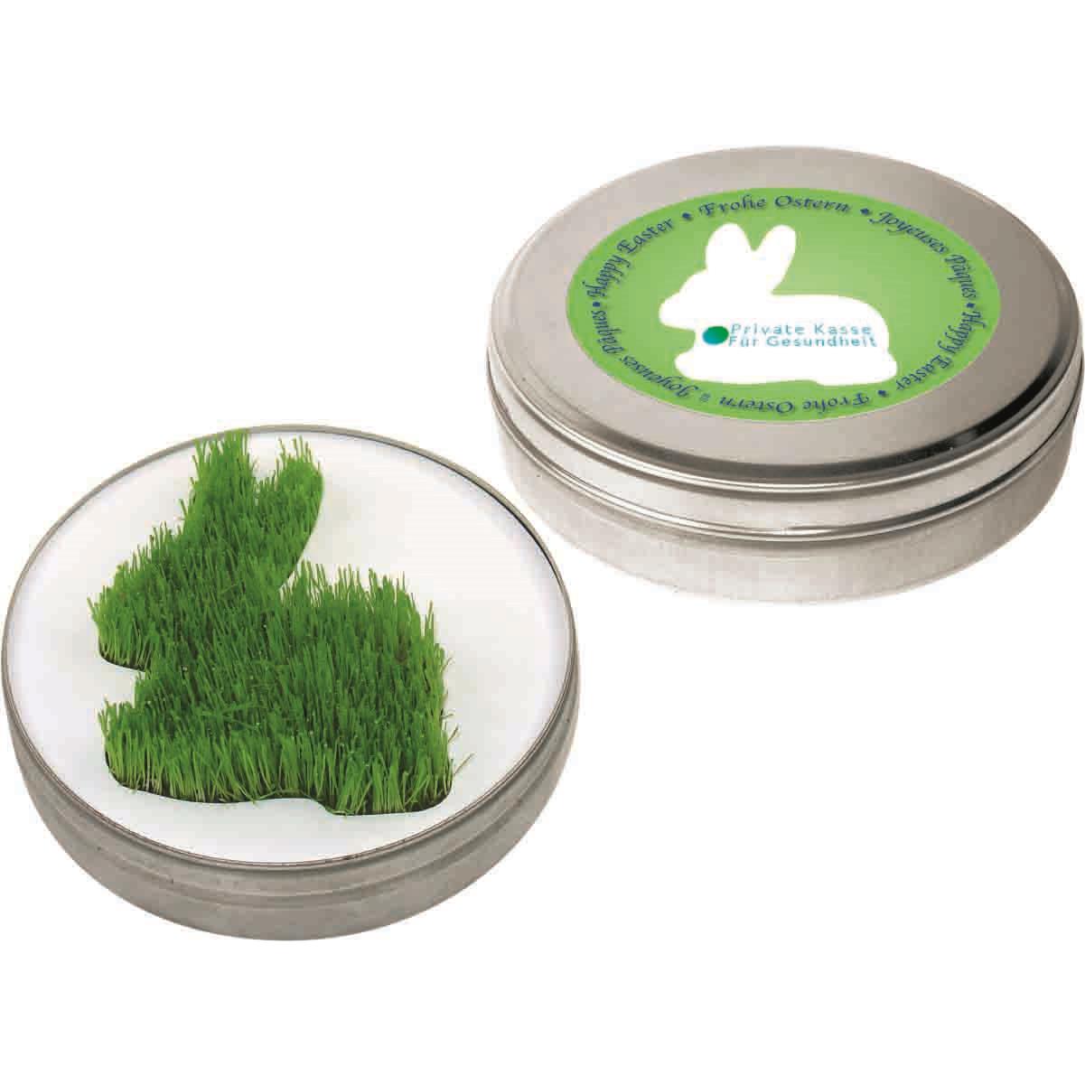 Wachsender Hase aus der Dose