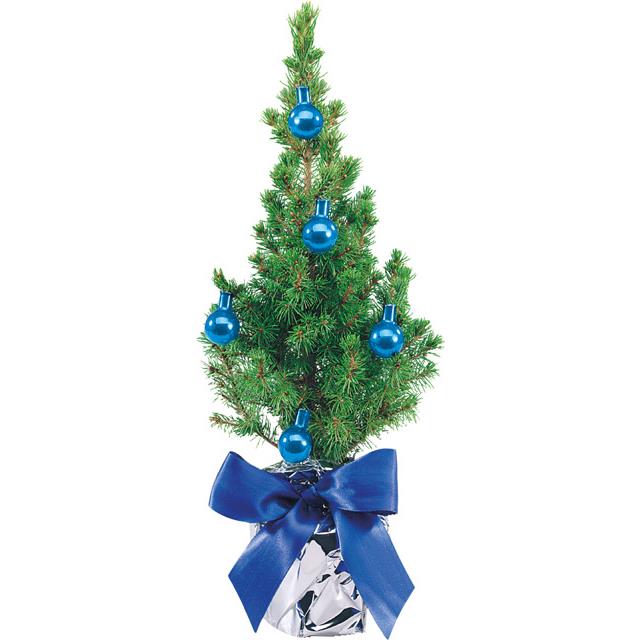 Festliches B�umchen blau 20-30 cm