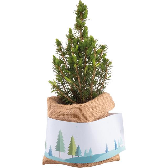 Weihnachtsgru�-B�umchen