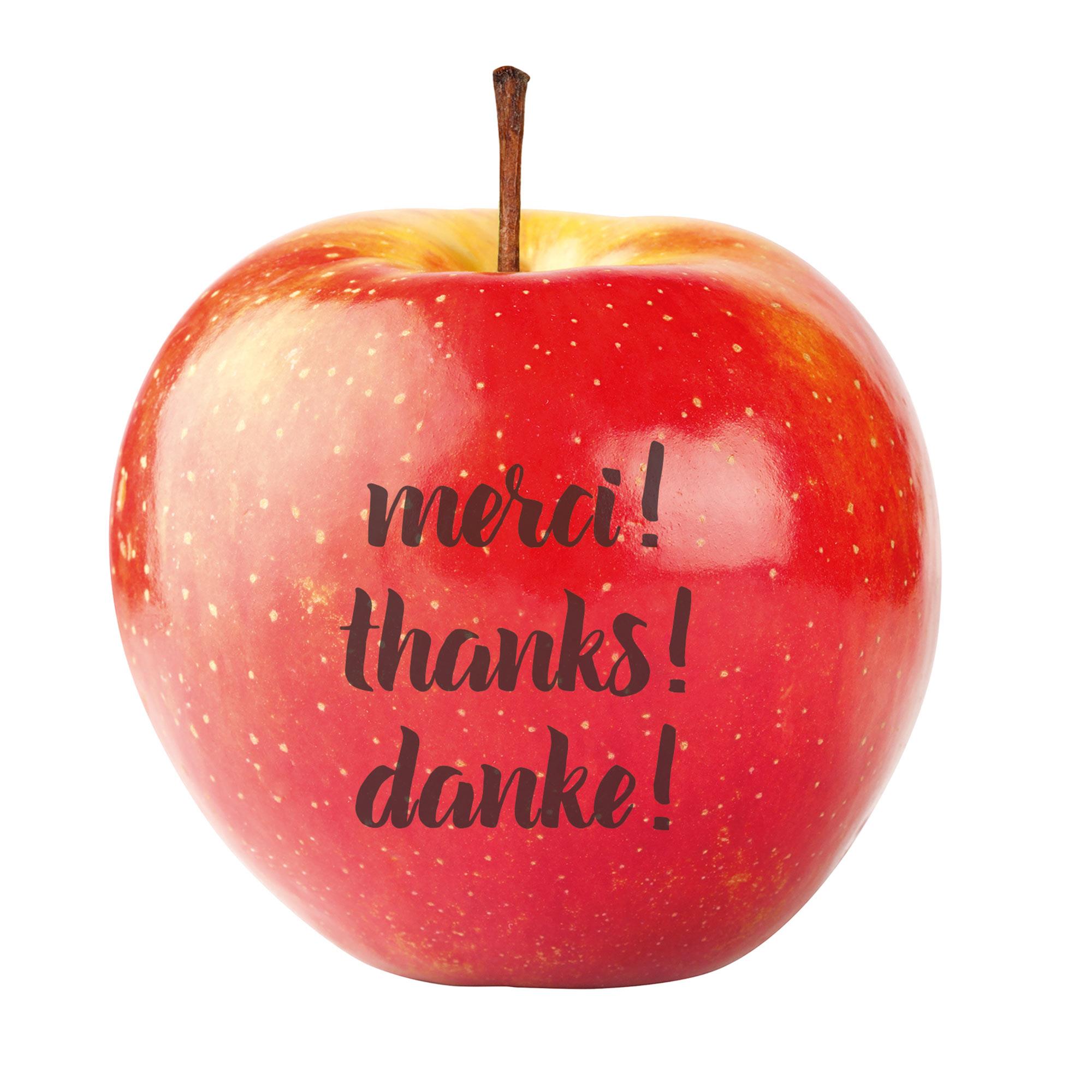LogoFrucht Apfel ´Danke´ rot