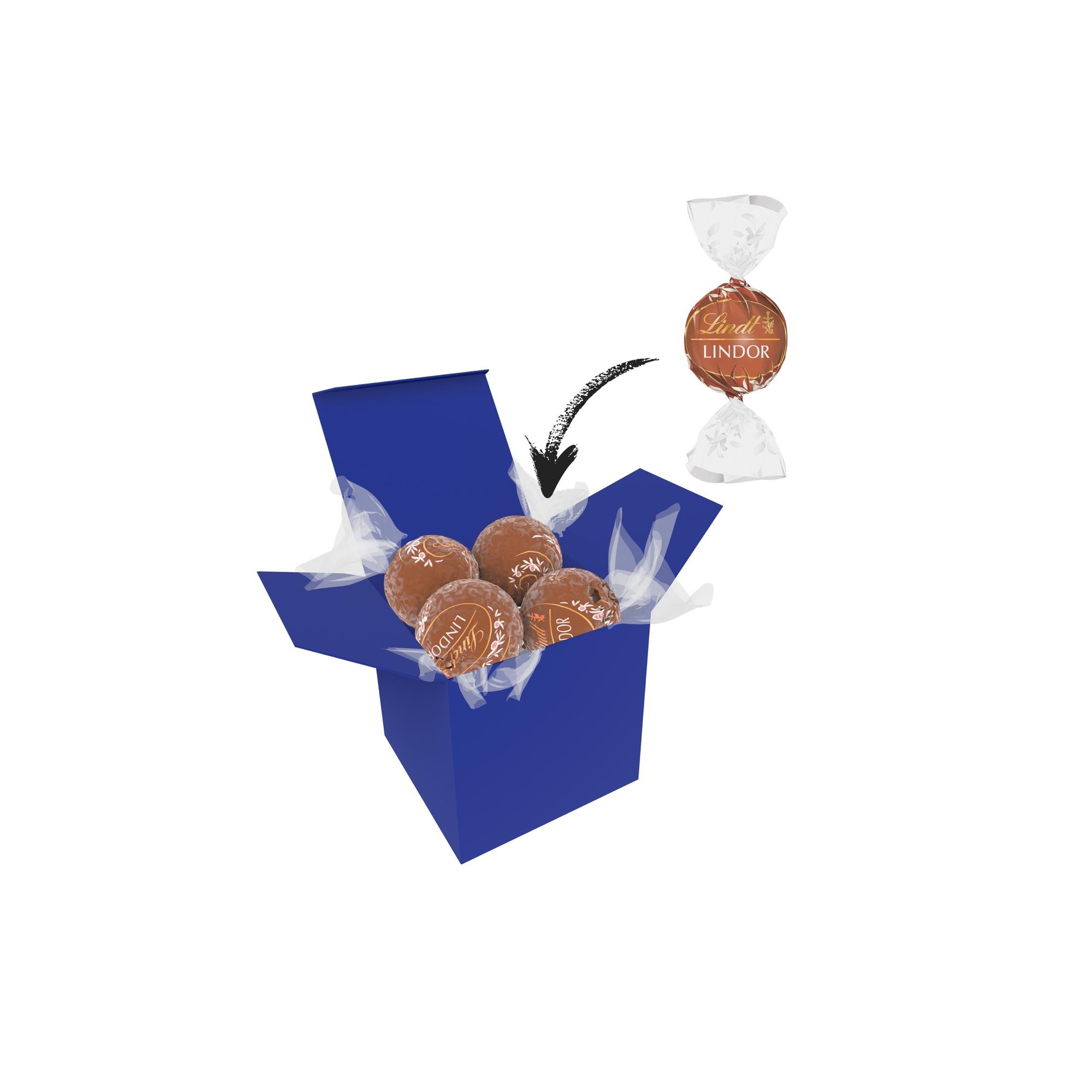 Color Lindor Box - Dunkelblau - Haselnuss