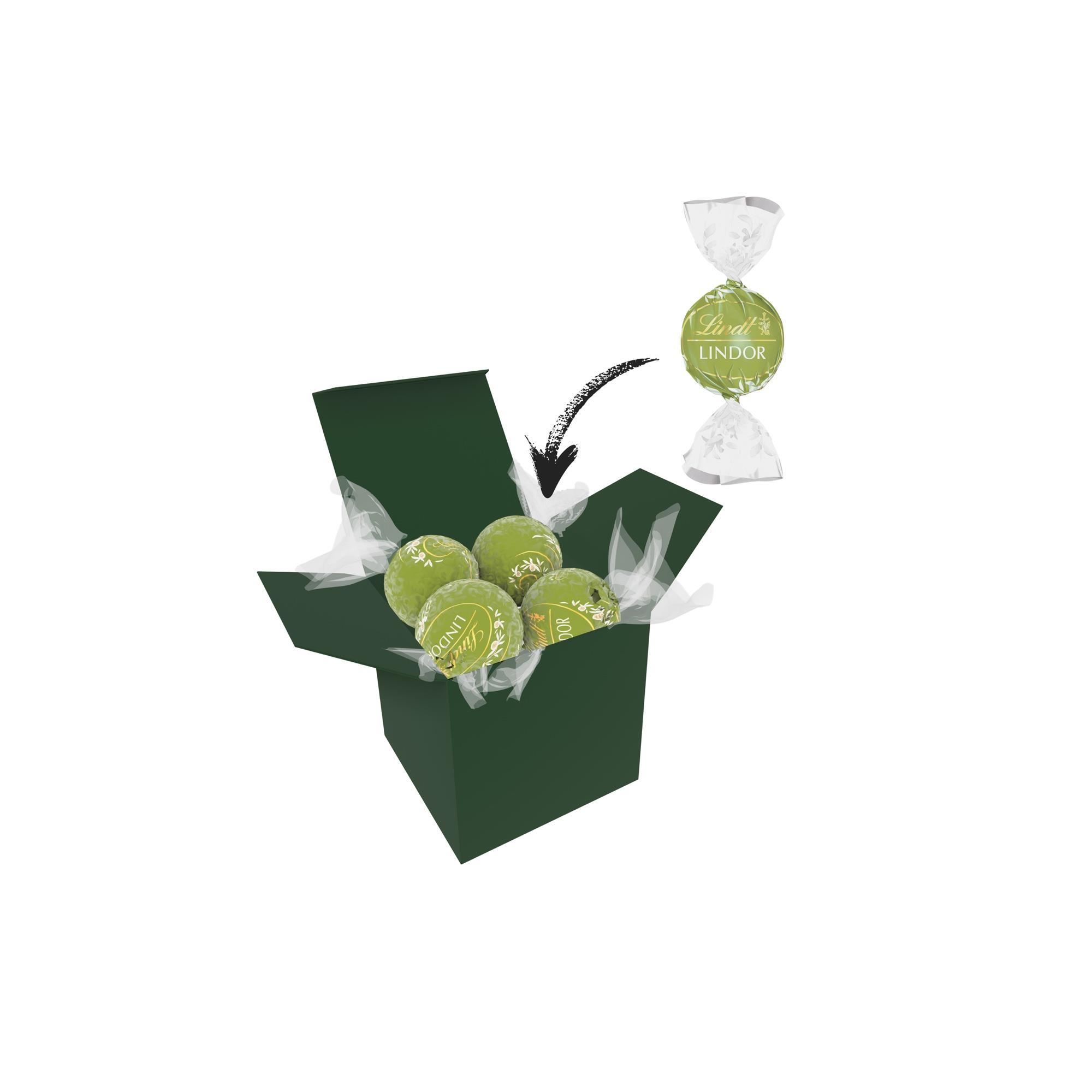 Color Lindor Box - Dunkelgrün - Pistazie