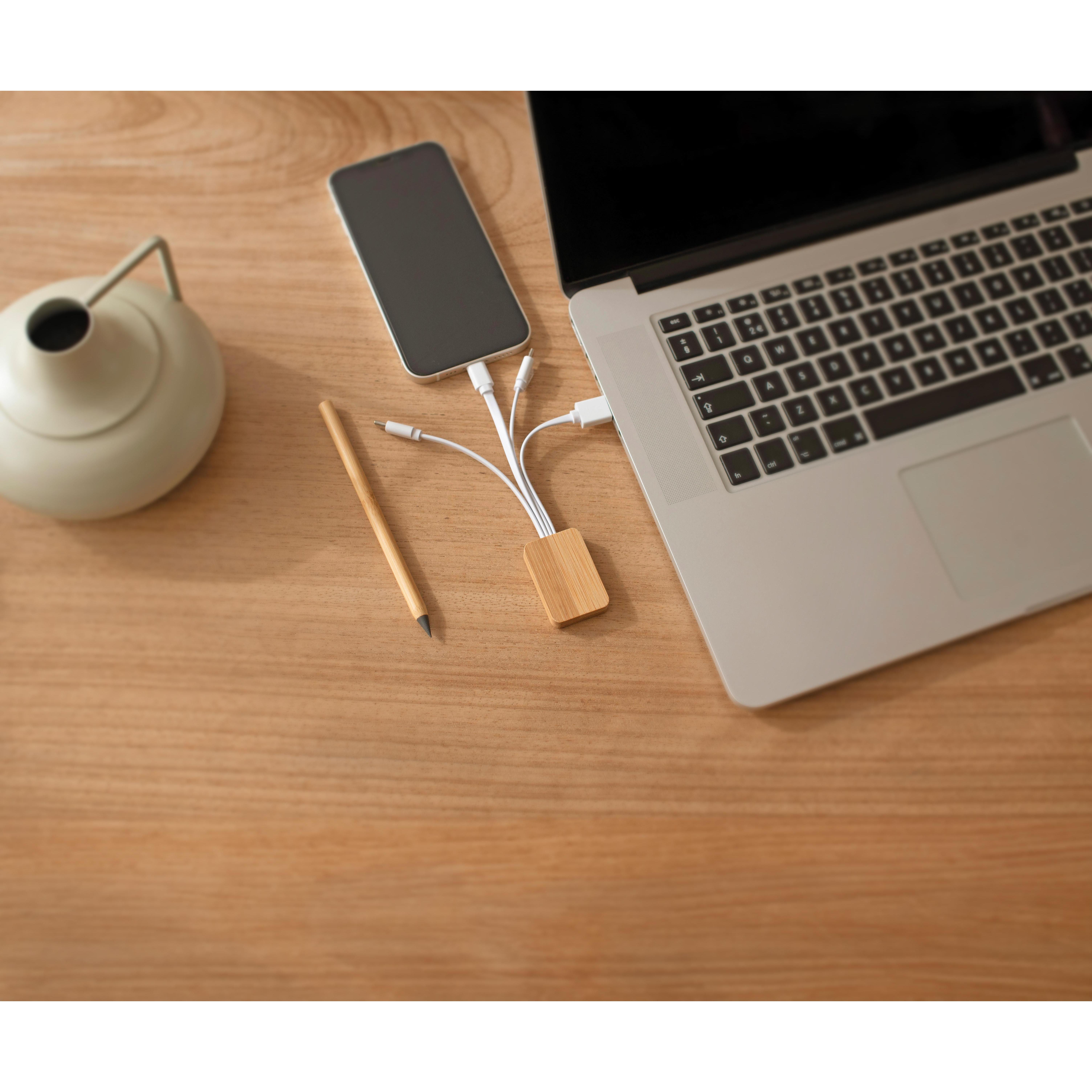 Ladekabel Brandan | 3-in-1