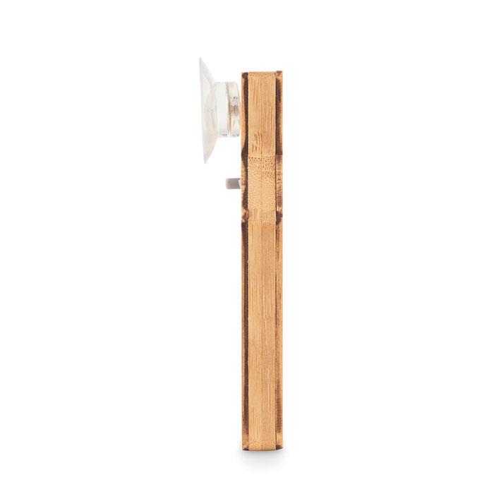 Thermometer