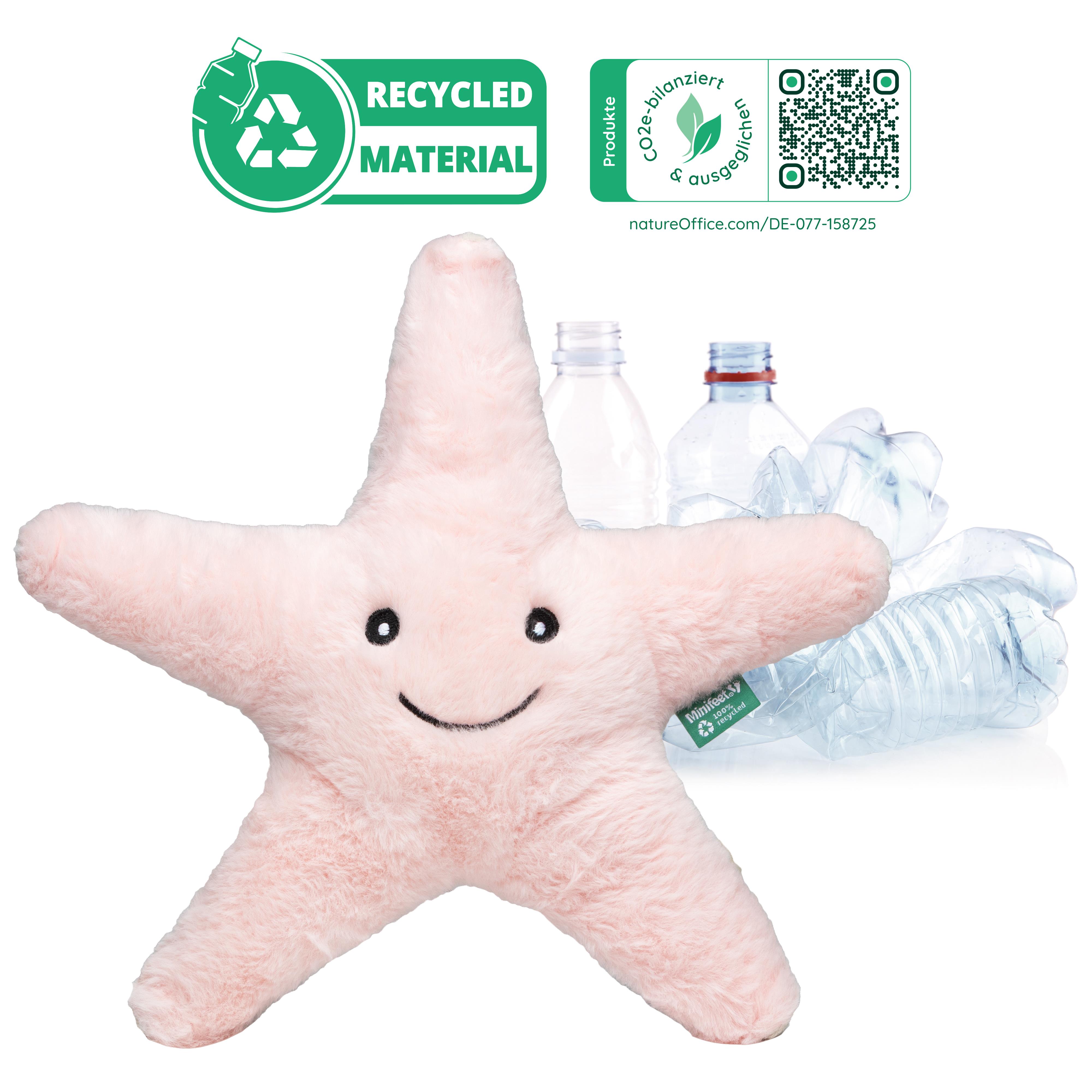 RecycelStern
