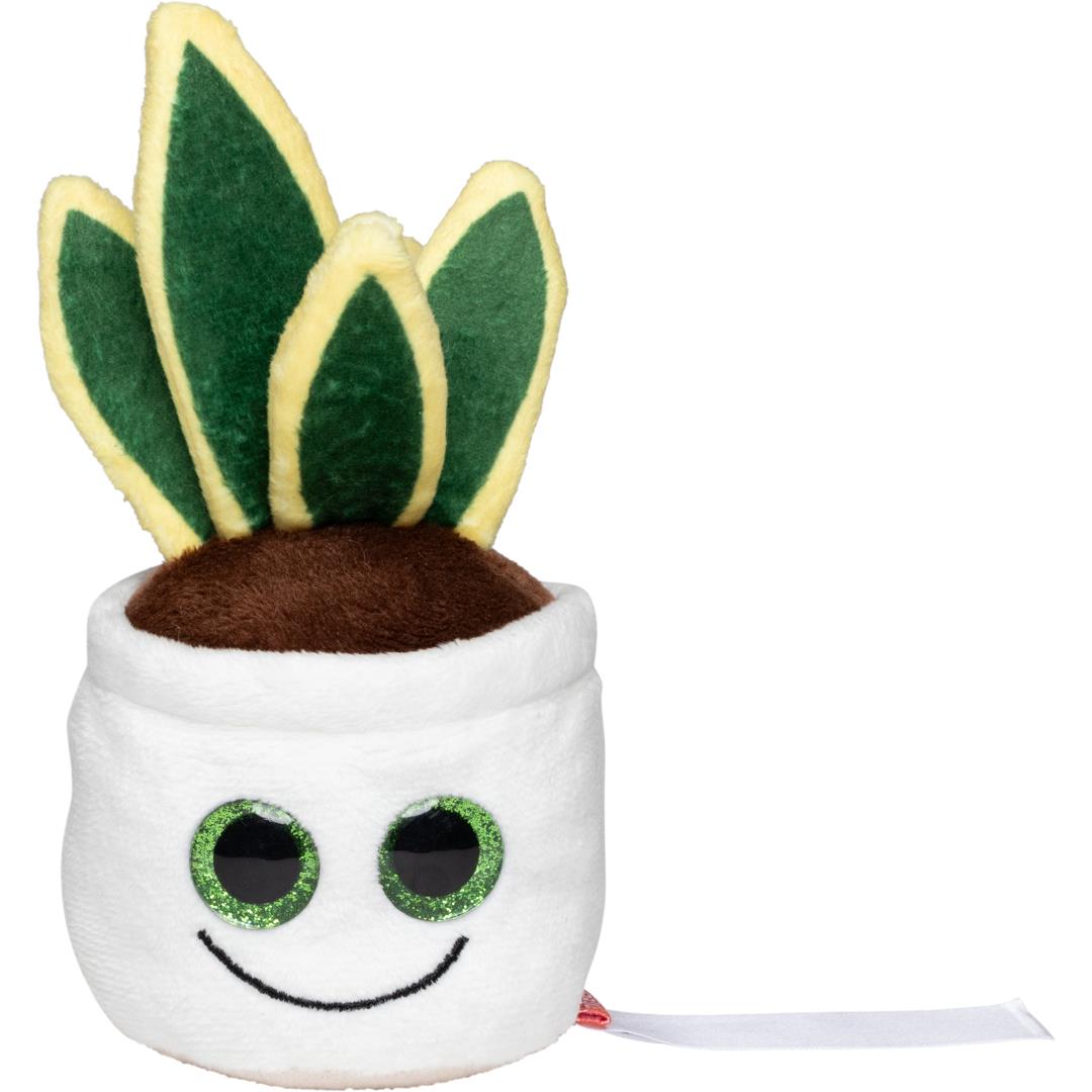 Schmoozies� Evergreenies� Bogenhanf