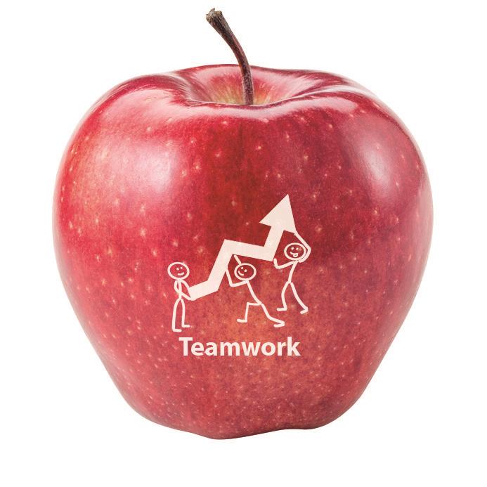 LogoFrucht Apfel Business