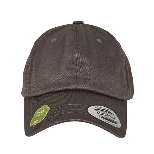 Low Profile Organic Cotton Cap