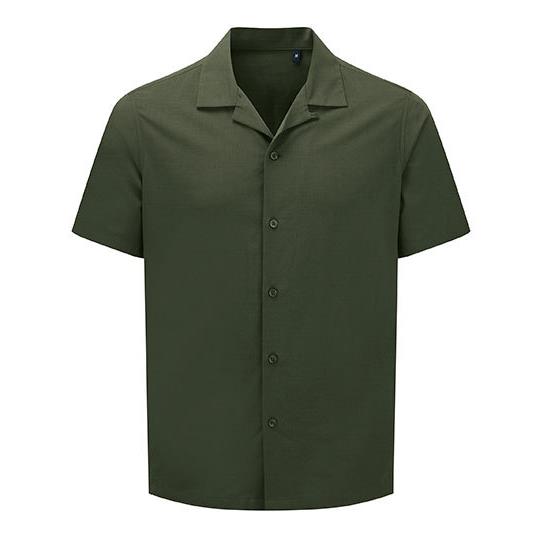 Solid Olive