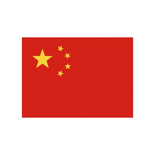 Fahne China