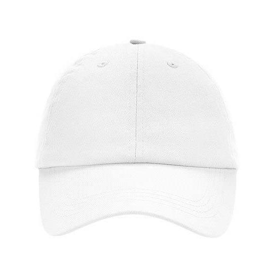 Low Profile 6 Panel Dad Cap