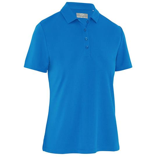 Skydiver