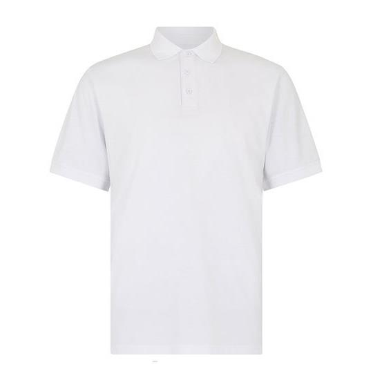 Regular Fit Superwash� 60� Jersey Polo