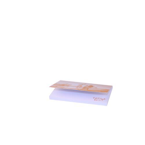 Haftnotizen mit Umschlag 100 x 70 mm, 4-farbig bedruckt