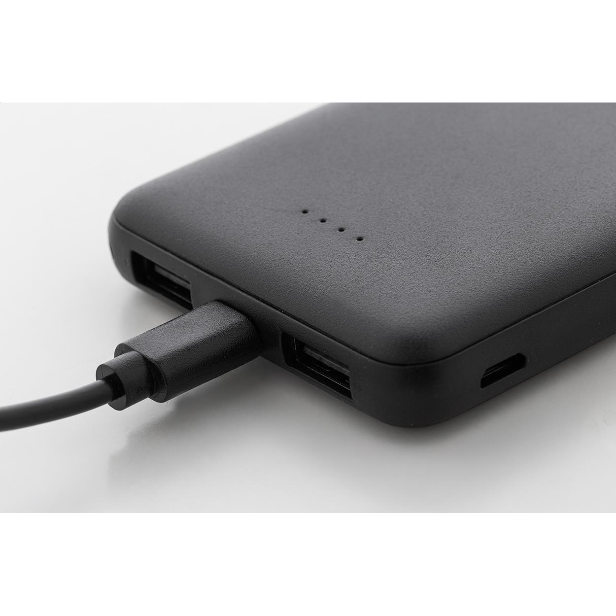 Powerbank RABS