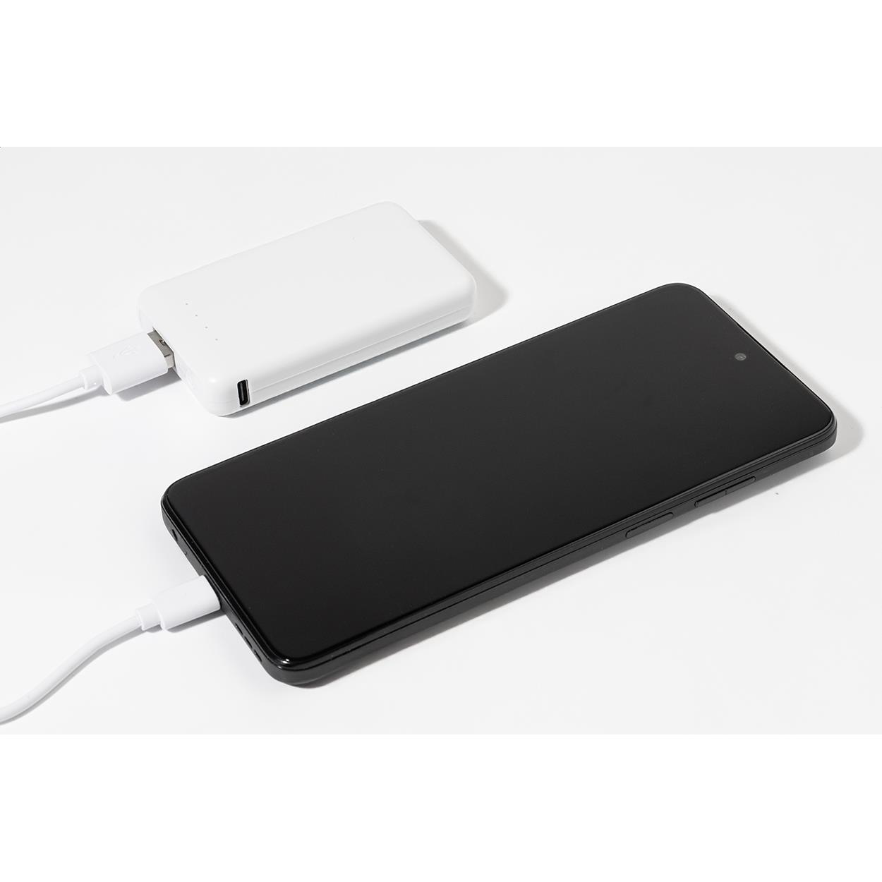 RABS-Powerbank