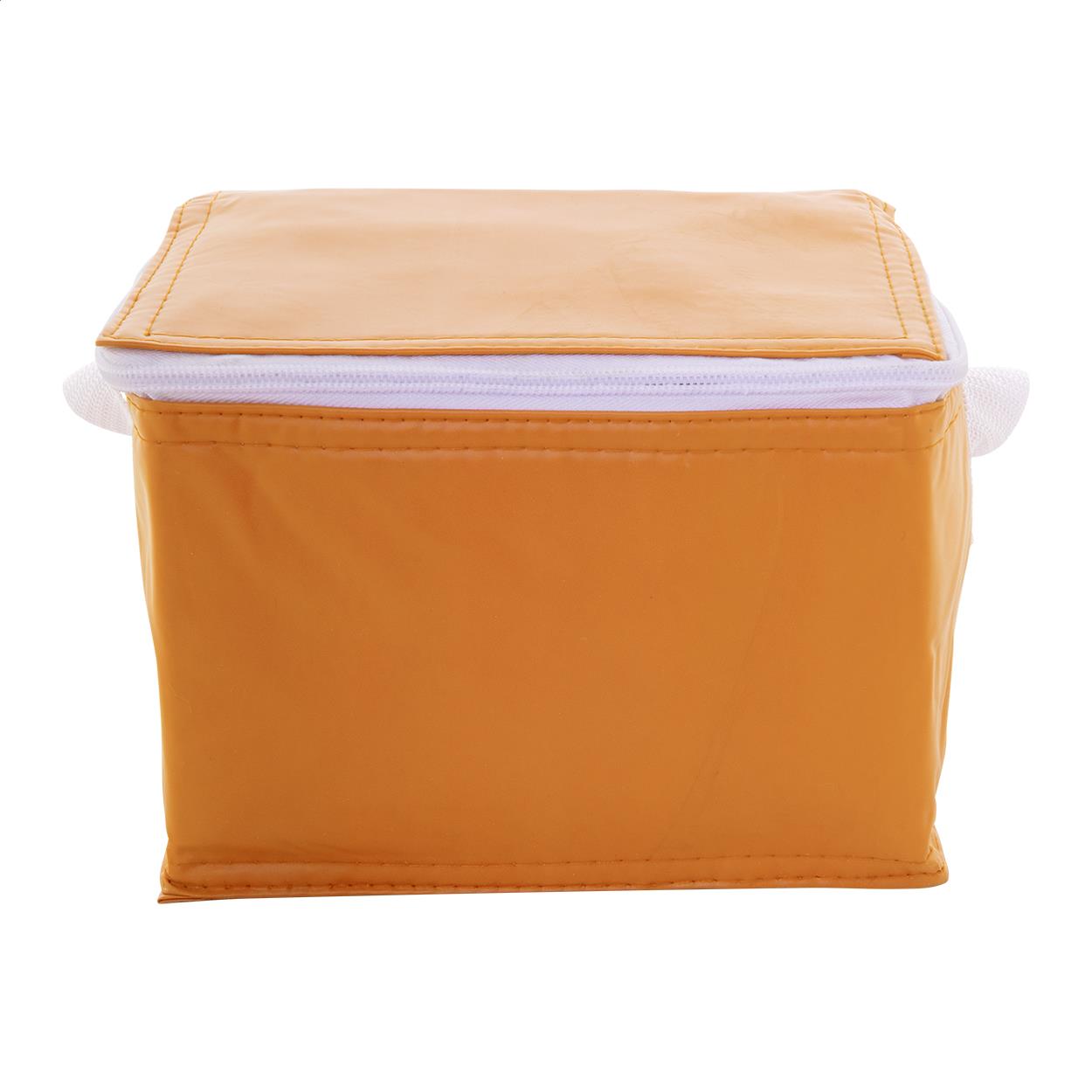 Kühltasche