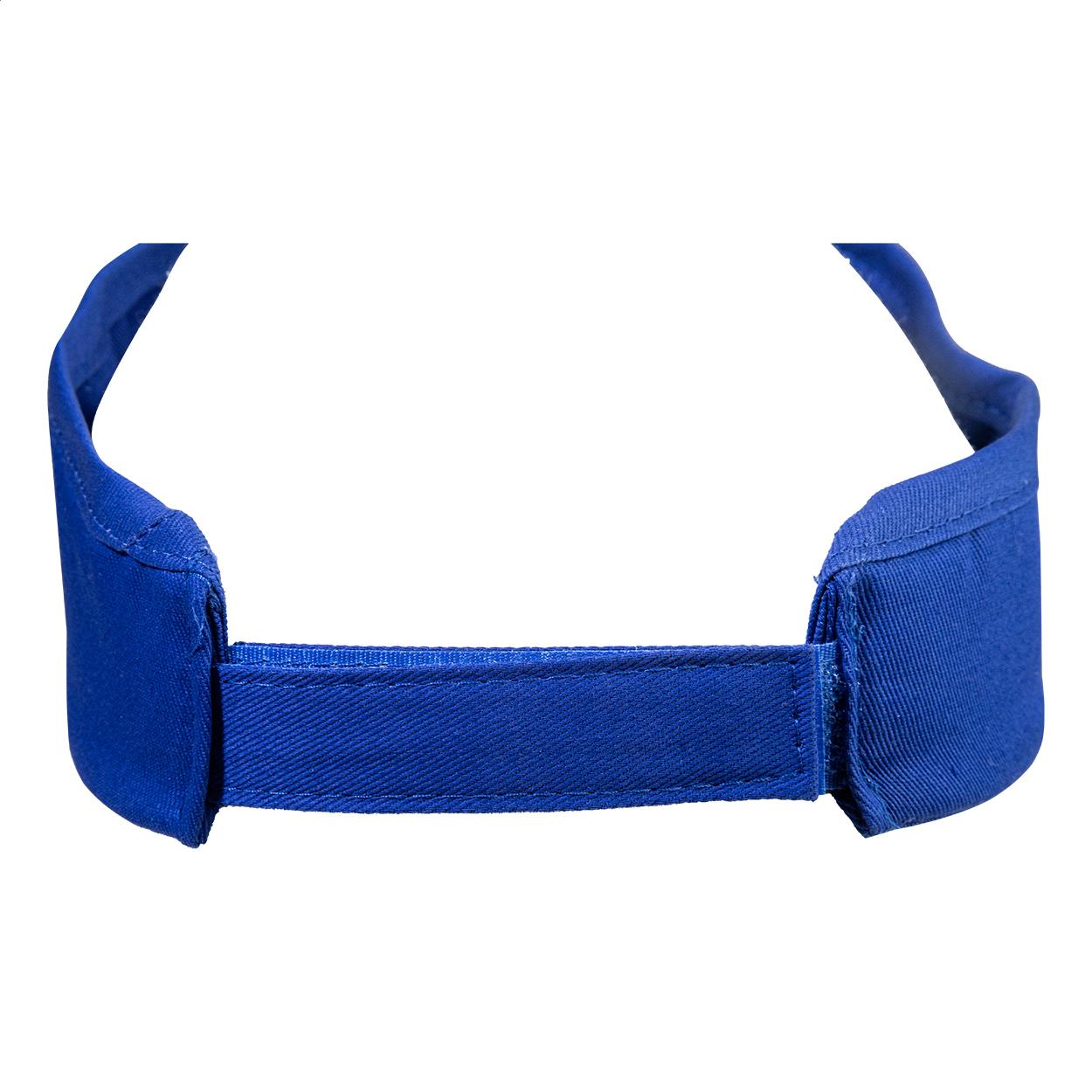 Sunvisor