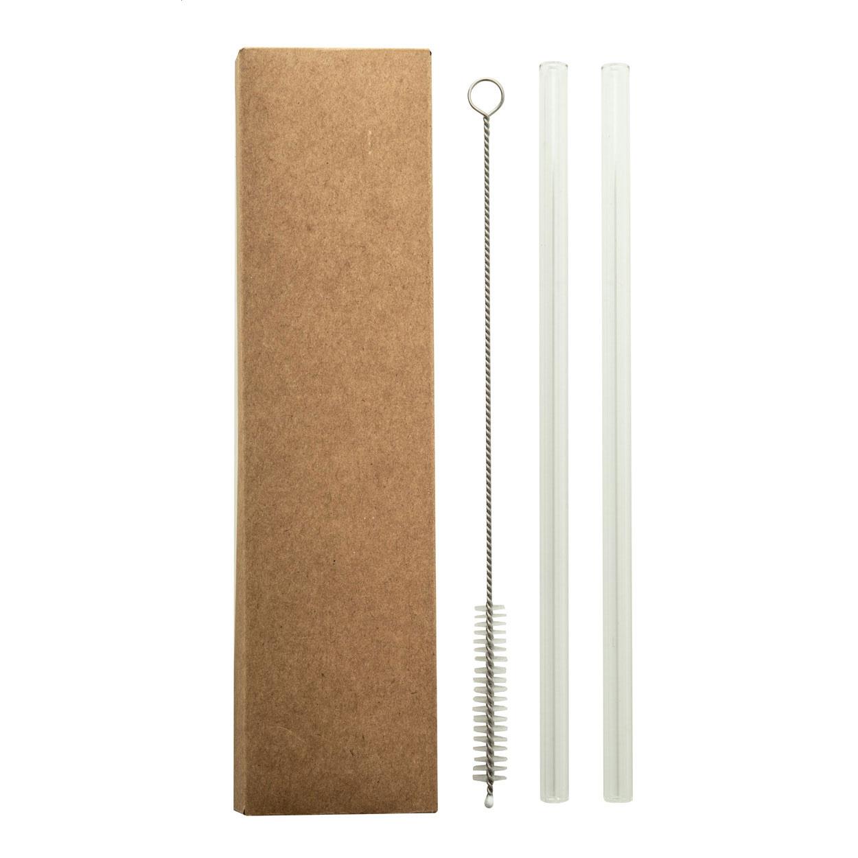 Glas-Trinkhalm-Set