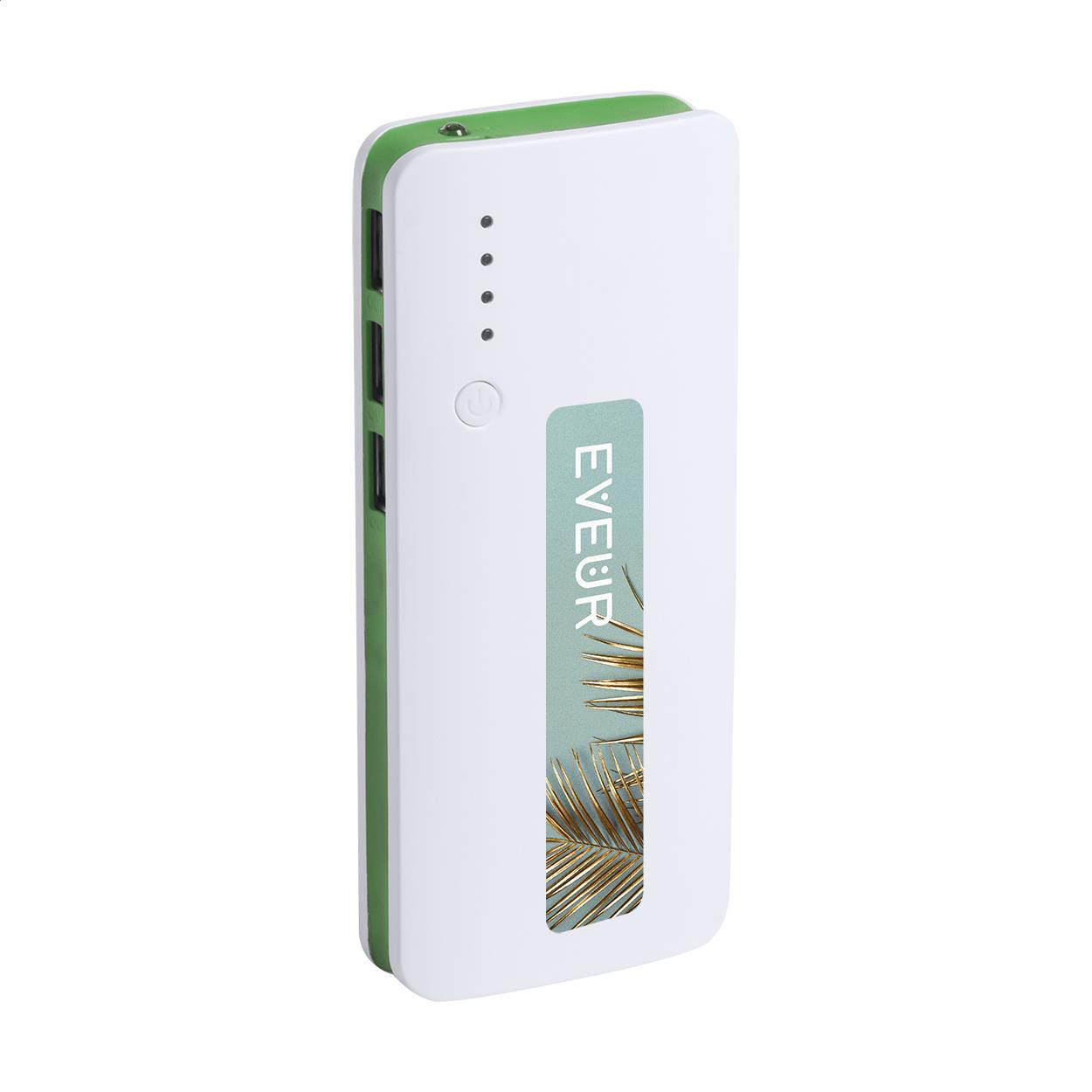 Powerbank