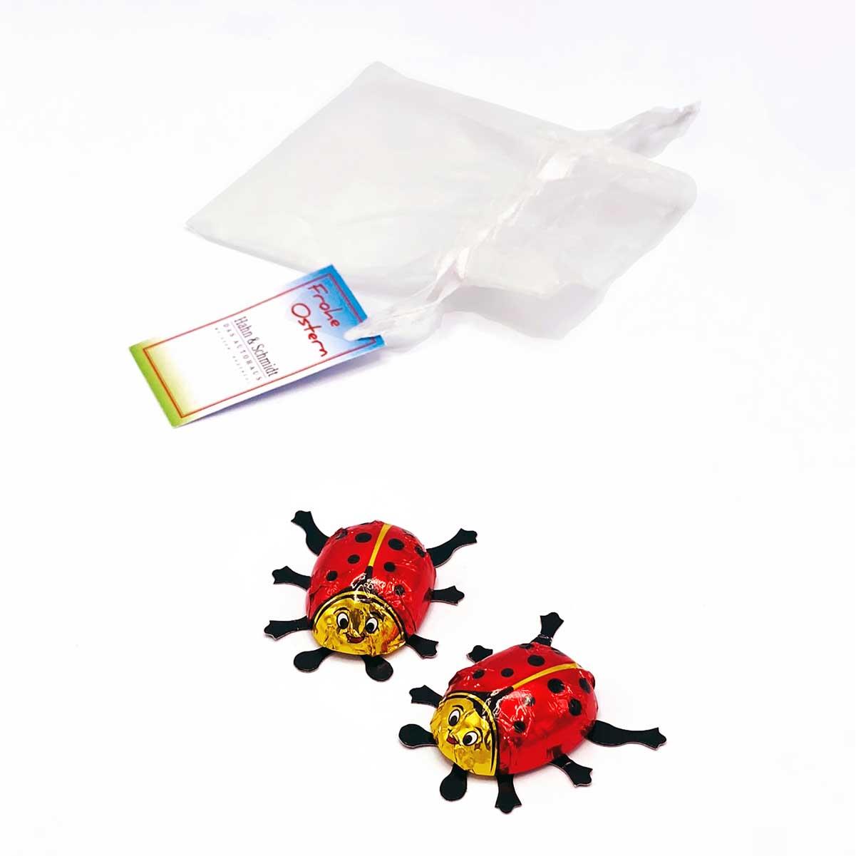 Organzasäckchen ´Good Luck´, mit Kärtchen