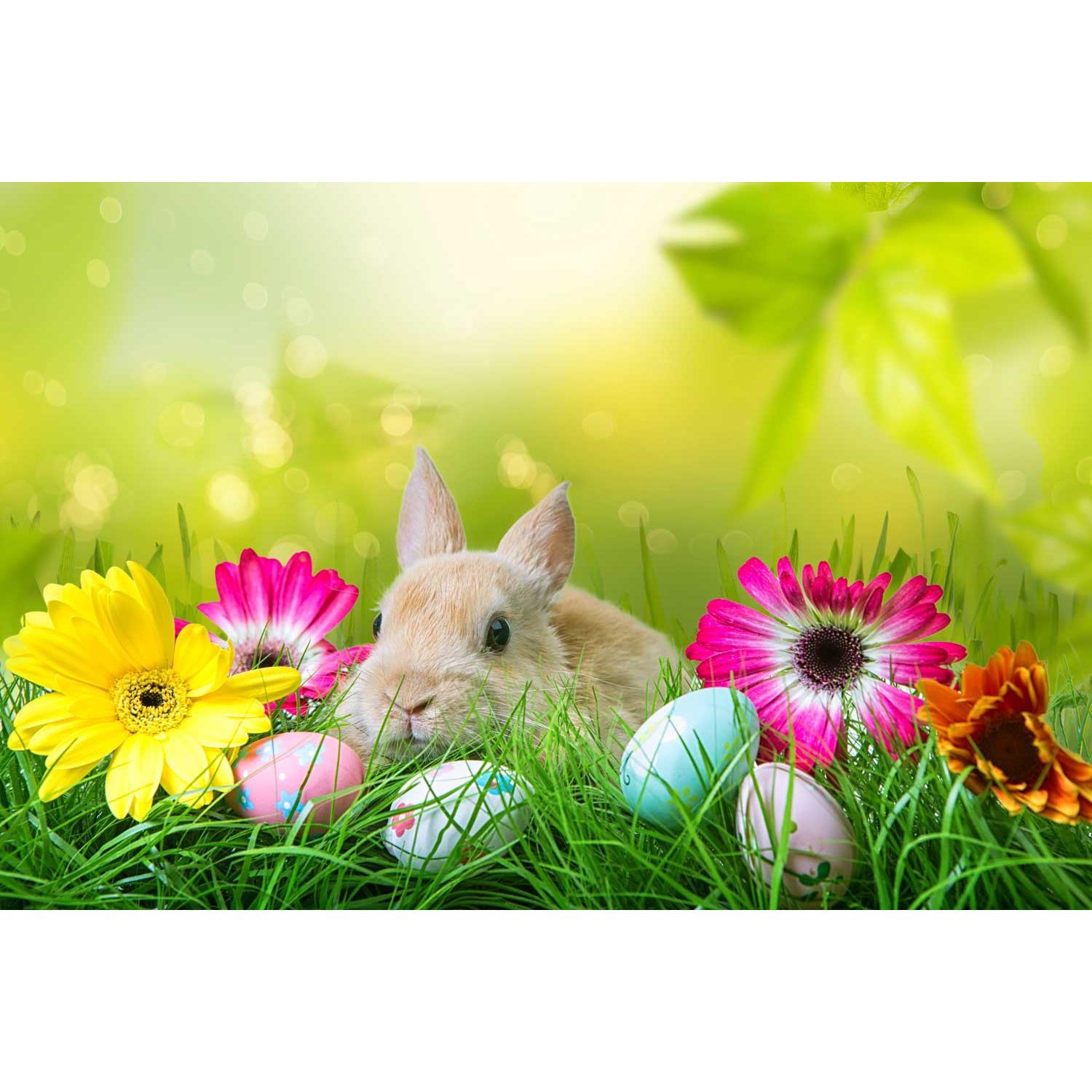 Organzasäckchen HASE, neutral