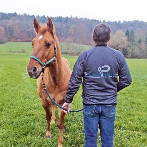 Jacke Jacket für Erwachsene