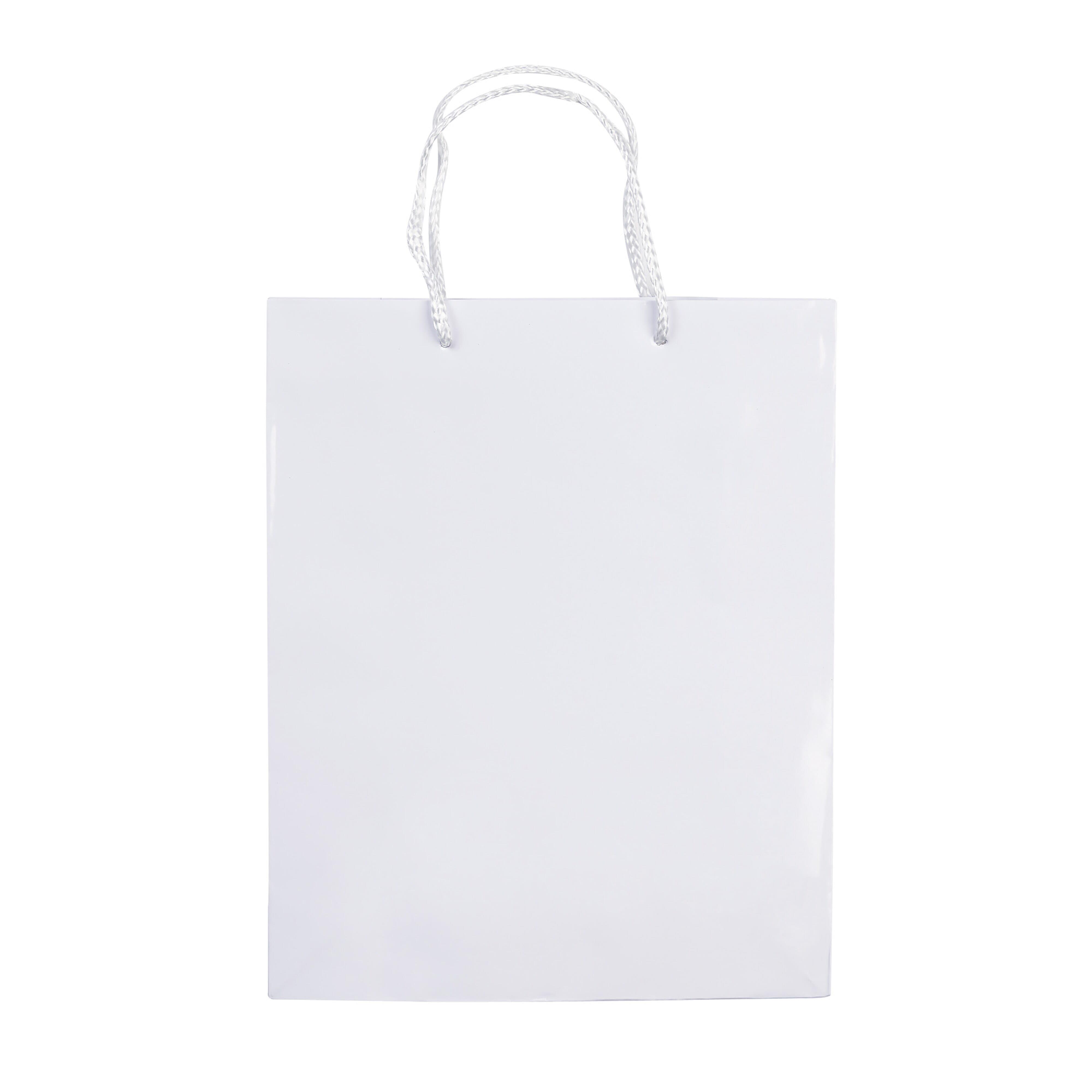 Laminierte Papiertasche, mittel