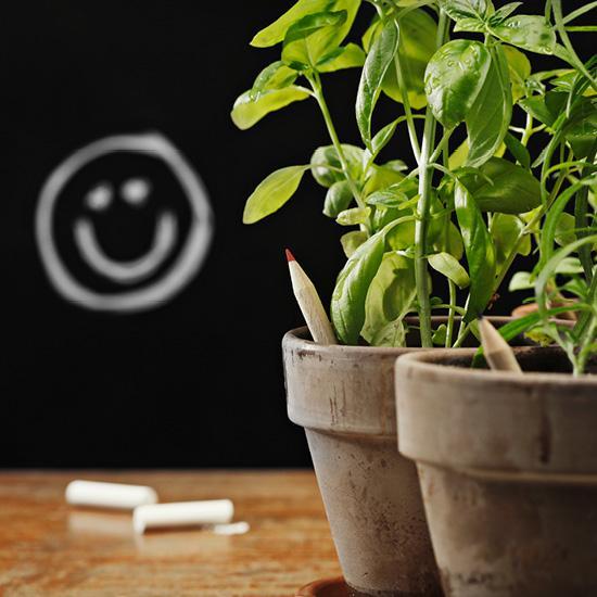 SPROUT - Multifarbstift mit Etui Standard