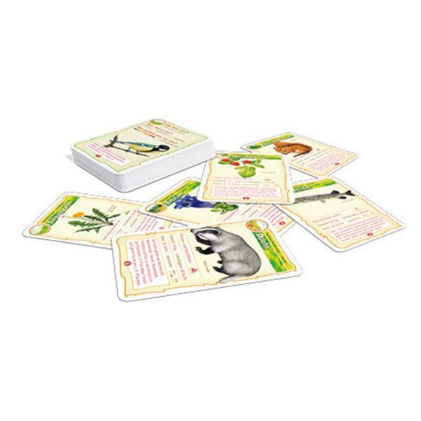 Lernspiele ´Abenteuer Schule´ - Natur Bingo, im Kunststoffetui