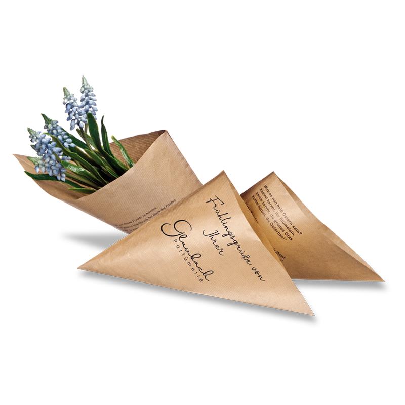 Das blaue Wunder Muscari - Pflanze in der Spitztüte