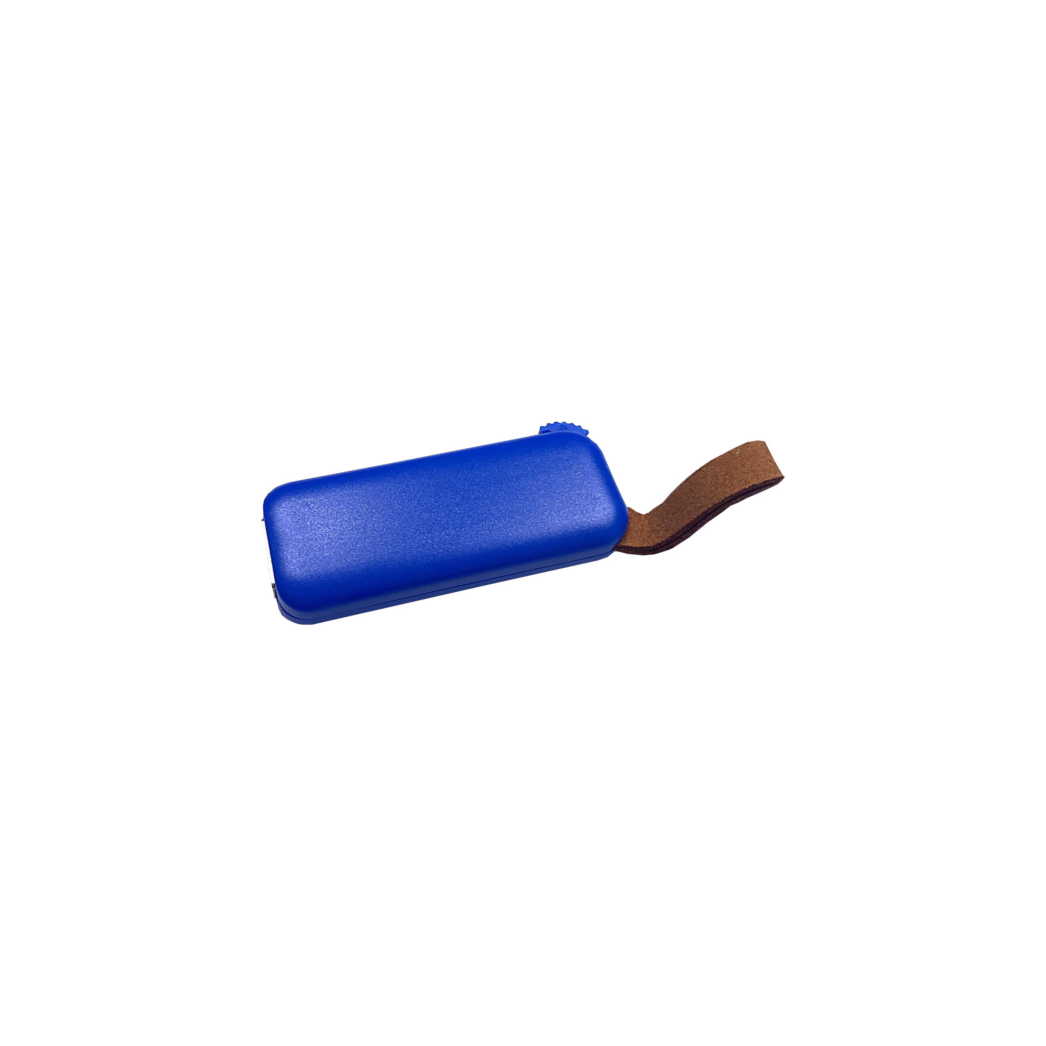 Modell F100 USB 2.0 Flash Disk   2 GB Blau