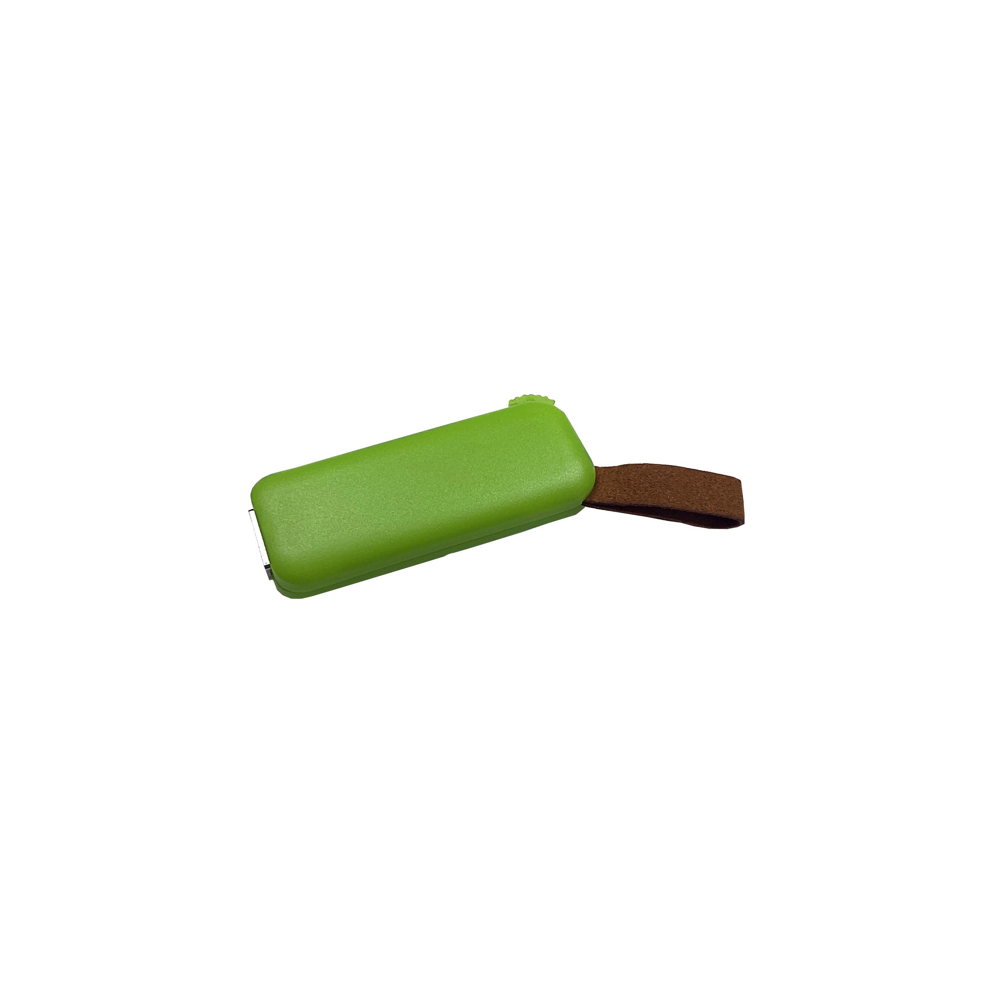Modell F100 USB 2.0 Flash Disk   2 GB Grün