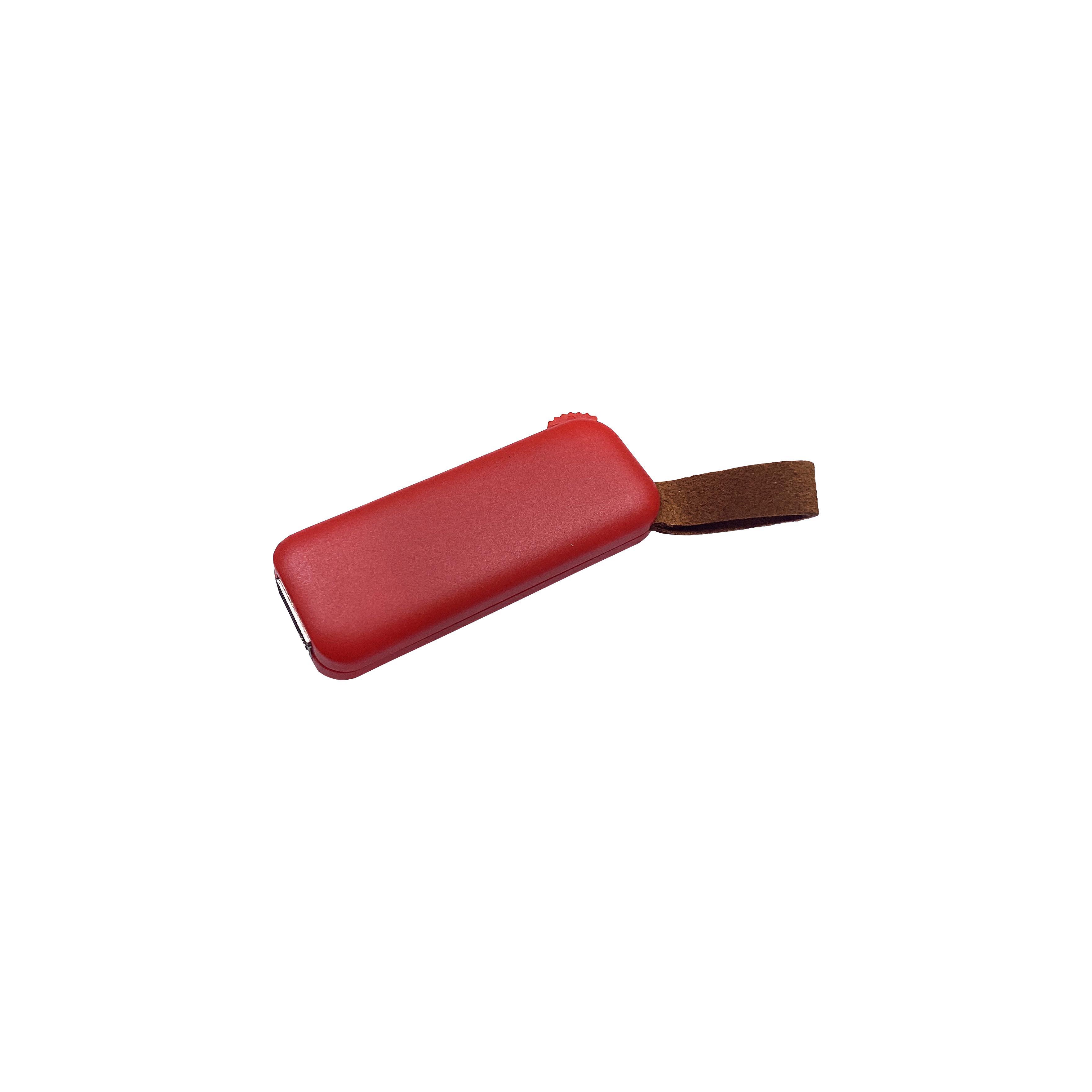 Modell F100 USB 2.0 Flash Disk   2 GB Rot