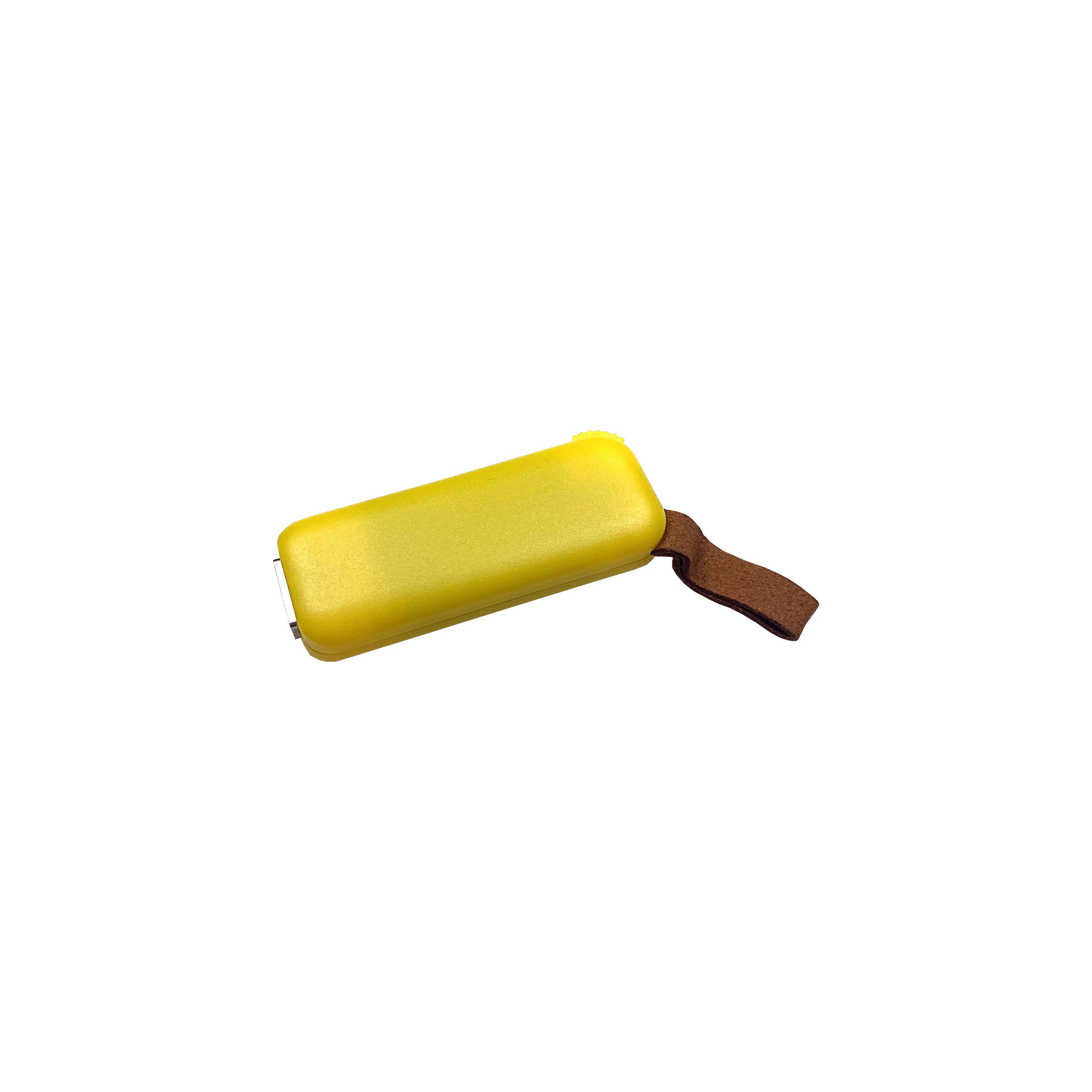 Modell F100 USB 2.0 Flash Disk  32 GB Gelb